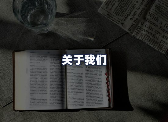 关于我们